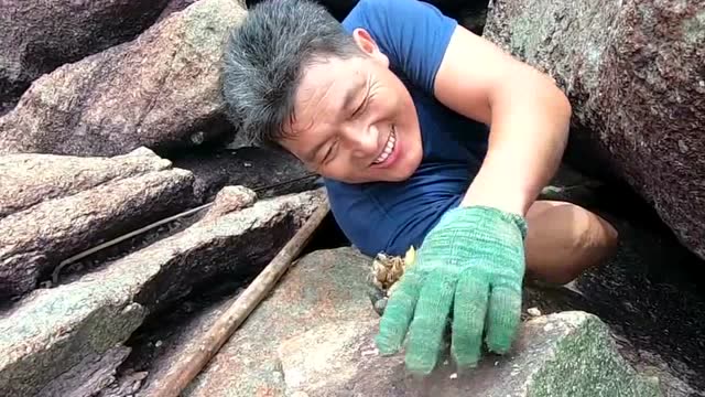 船长阿阳赶海豁出去了钻到最危险的地方赶海只为这种昂贵海鲜