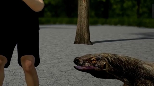 科莫多巨蜥咬人会发生什么看看这块生肉的下场让人头皮发麻