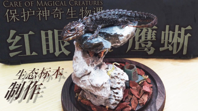 全身带刺长的像龙一样的蜥蜴做成标本