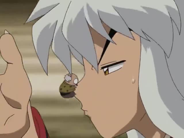 犬夜叉:冥加讲解铁鸡是什么妖怪,戈薇神吐槽!