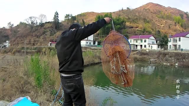华子家鱼塘的鱼养了两年了,30块钱买了个撒网,差一点把鱼砸死