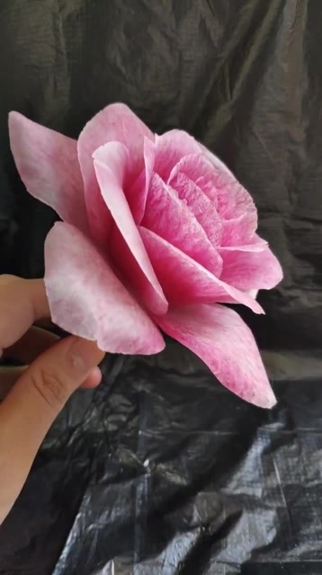食品雕刻月季花,漂不漂亮,你们心动了吗