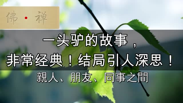 一头驴的故事,非常经典!结局引人深思!