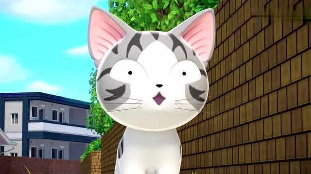 《甜甜私房猫》大黑原来那么厉害呀