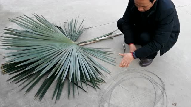 疫情不出门,修剪棕树叶,老爹用其做扫帚,简单环保绿色低碳生活