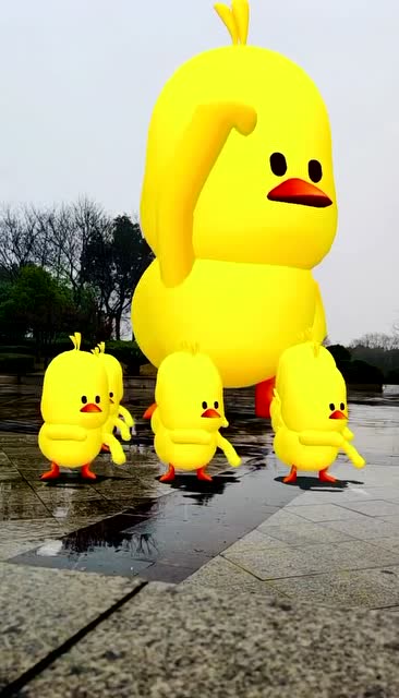雨停啦,小鸭鸭又来跳舞啦