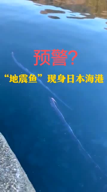 地震鱼现身日本海港,有何征兆地震海洋