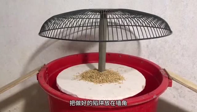 大神在家用水桶做一个捕鼠器,一次抓到10只大老鼠!
