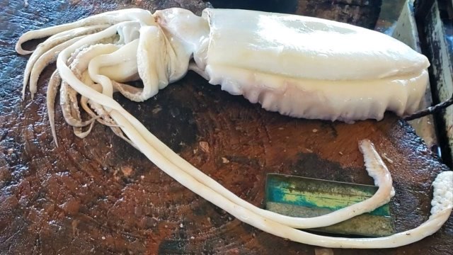 刀工师傅现场切"白鱿鱼",最薄也有5厘米,食客:像切肥猪肉