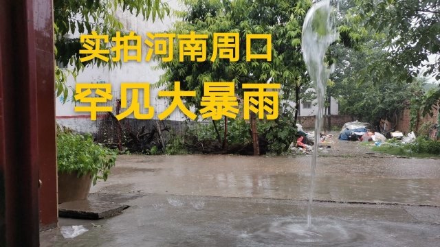 实拍河南周口清晨罕见的大雨