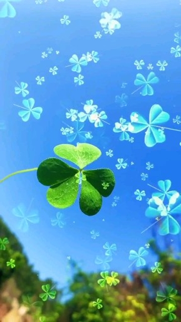 神奇幸运草,让你有好运
