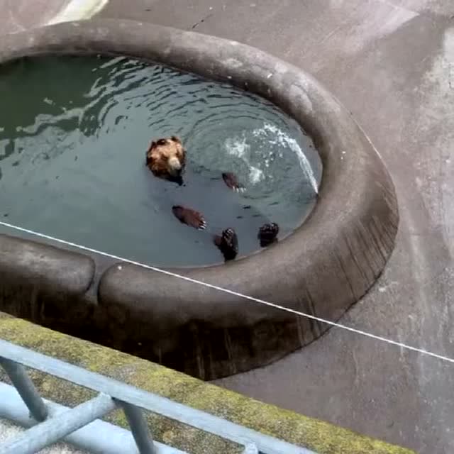 回家洗澡不好吗?非要在外面的大池子里洗,这么多人也好意思!