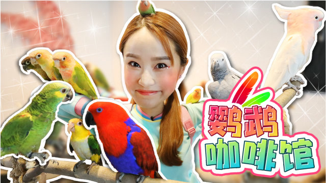 嘿基尼  第二季118 哇会讲话的小鸟?