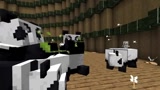 Minecraft动画：骷髅vs熊貓