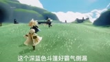 光遇：我太爱小狮子了！！