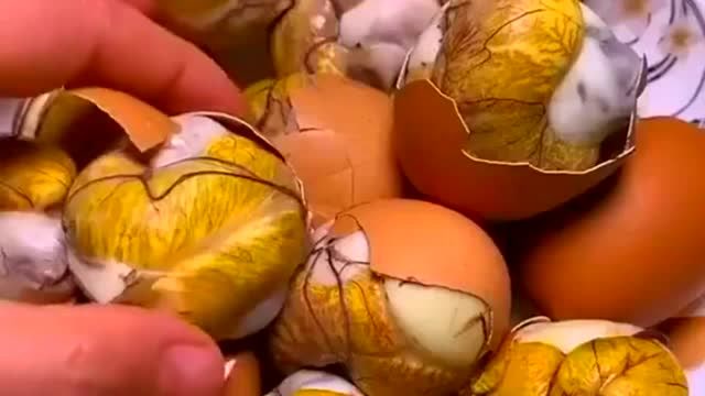 放置23天的毛蛋,打开里面的血管清晰可见,我是不忍心吃!