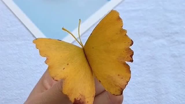 手艺达人制作银杏叶蝴蝶,轻松易学,学会你就是小朋友心中的男神!