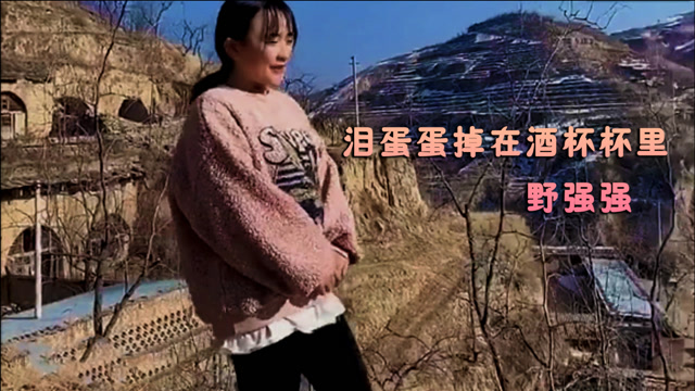《泪蛋蛋掉在酒杯杯里》完整版 原唱野强强pk马美如 谁的演唱更能打动