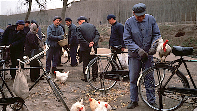 老相册:百姓生活,八十年代