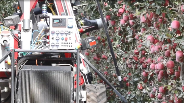 实拍国外发明的自动苹果收割机,网友:这工作效率够油钱吗?