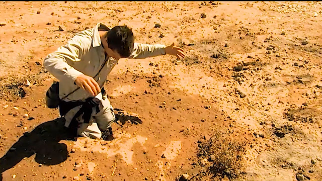 荒野求生撒哈拉沙漠第3期贝爷深陷泥潭他会采用什么方法出来