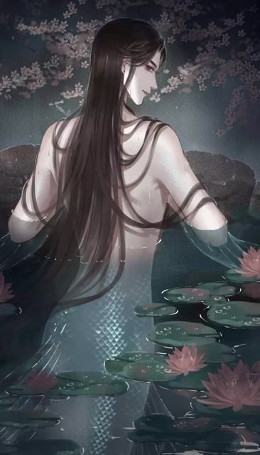 人鱼师尊,纤腰不盈一握,太好看了吧