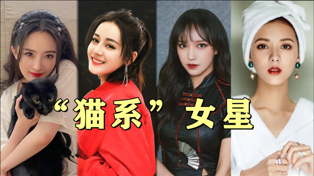 娱乐圈10大"猫系美人",本以为热巴又甜又御够美,张雨绮一出场才叫女王