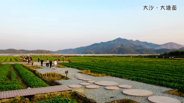 大沙大塘面 2021春节