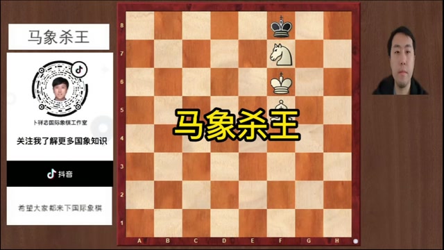 国际象棋 #马象杀王