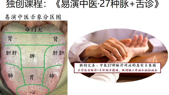 35脉舌辨实脉(上)阴阳气血俱实-易演伤寒论脉诊