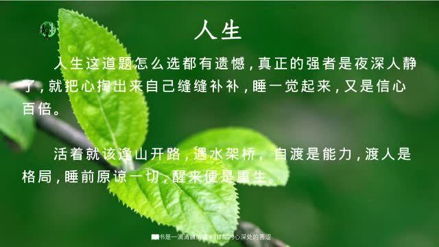 睡前原谅一切,醒来便是重生.人生感悟!警句!