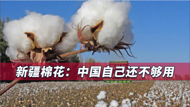 人民日报新华重磅文章新疆棉花长年供不应求中国还靠进口