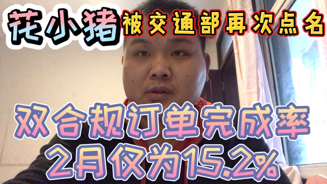花小猪被交通部再次点名2月双合规订单完成率仅为152