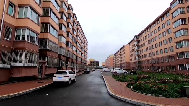 鹤岗的房子为啥这么便宜,几万块就能买一套,实地走访!