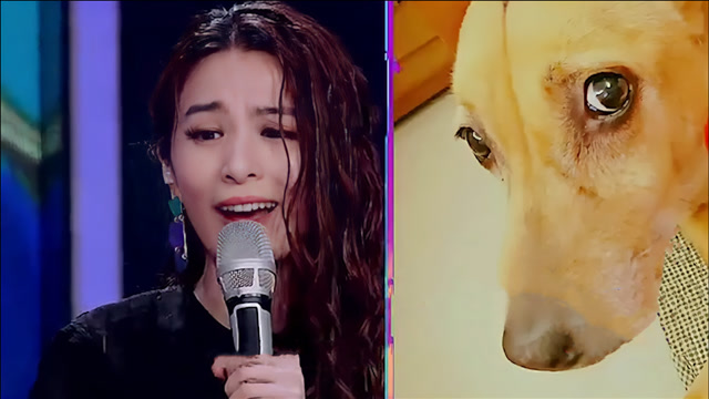 田馥甄对狗狗发嗲,韩红直接受不了杨迪却学的津津有味,明星发嗲