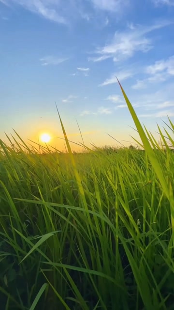 实拍清晨的第一缕阳光无限美