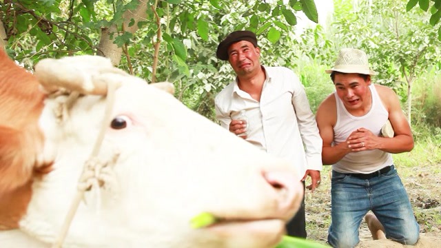 yegiyumurmamattazkiynonahxaitotkizikarlikkuldurga2021