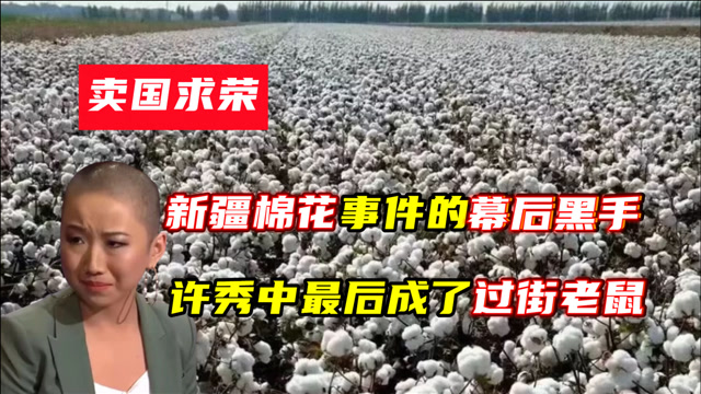 卖国求荣新疆棉花事件的幕后黑手许秀中最后成了过街老鼠