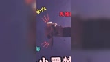 光遇：我不要面子的吗？