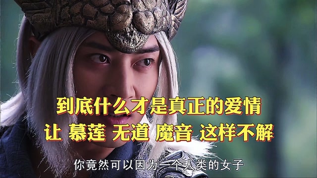 你知道什么是真正的爱情吗 竟然让慕莲无道魔音这样不解