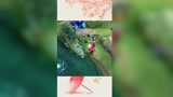 王者荣耀：嘿嘿，看到了