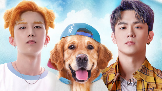 《兄弟萌》定档2.14:冤种兄弟化身萌犬守护我