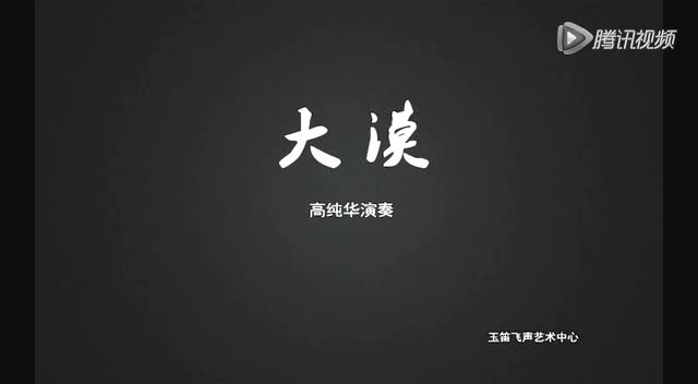 大漠 高纯华演奏
