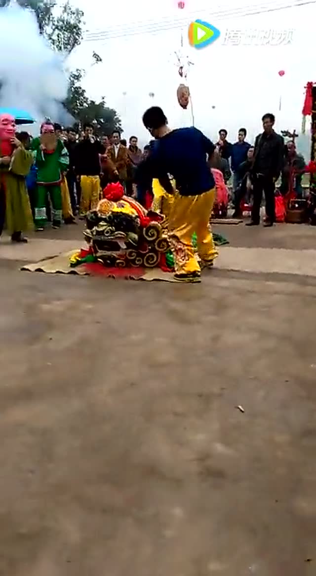 2016年海陆丰传统(虎狮)汀洲联华团金狮参拜