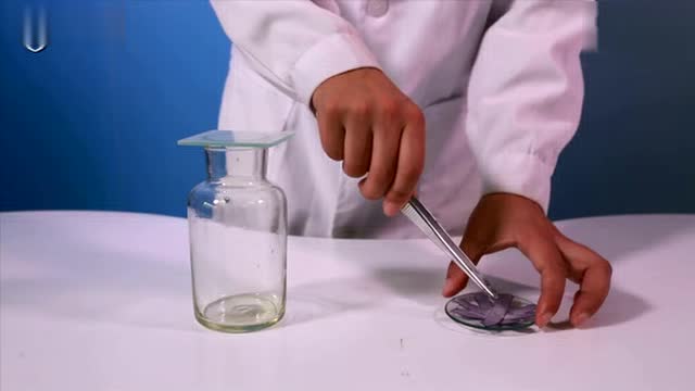 二氧化碳与水反应实验图片