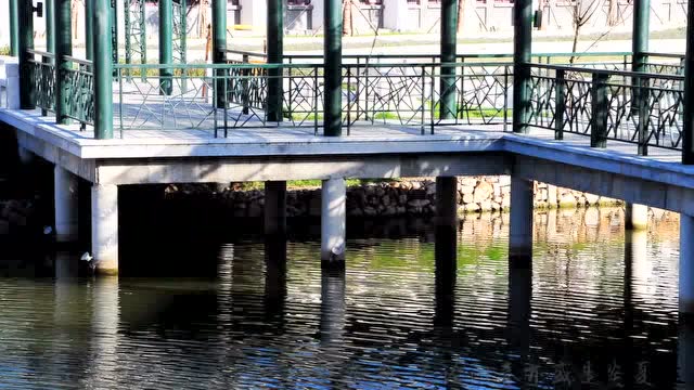 南山南(苏州幼师版)