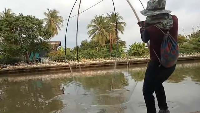老式大抬网,还是方法不对,抓到的鱼不理想!