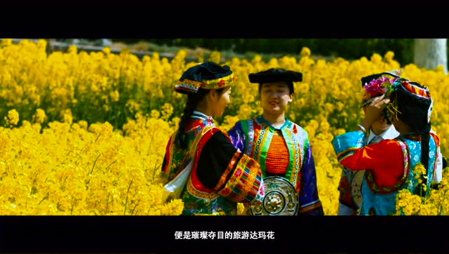 花开舟曲欢迎您