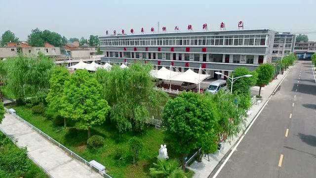 阜南县王家坝镇中心学校