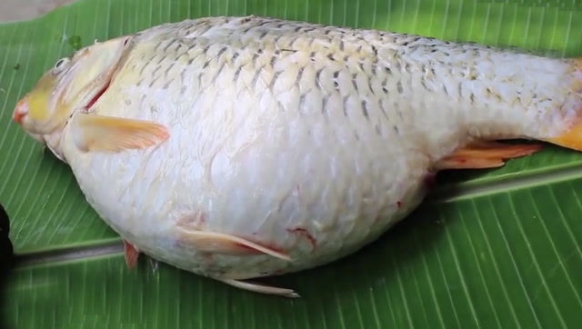 大爷钓到一条大肚子鱼,结果剖开鱼肚子后惊呆了